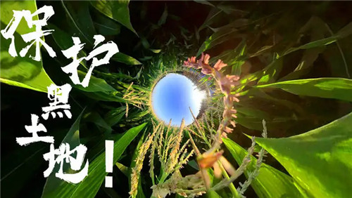 黑土地“姓農(nóng)”——全國人大常委會繼續(xù)審議黑土地保護(hù)法草案