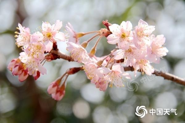 節(jié)后首日我國大部晴朗升溫 冷空氣“穿插”影響華北東北