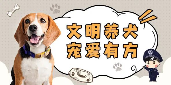 聊城“電子犬證”上線！趕快給狗狗領(lǐng)取“身份證”