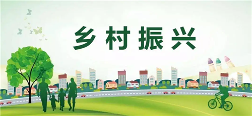 全面推進(jìn)鄉(xiāng)村振興，各地這樣干