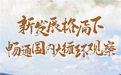 新發(fā)展格局下暢通國內(nèi)大循環(huán)觀察
