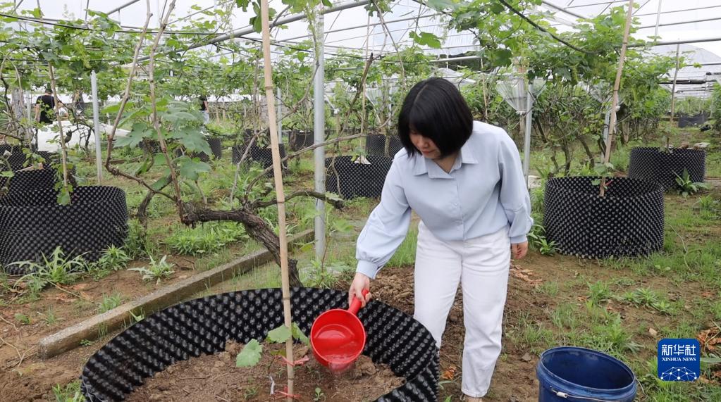 奮進新征程 建功新時代·老區(qū)新貌｜重返湘江畔，青春謀振興