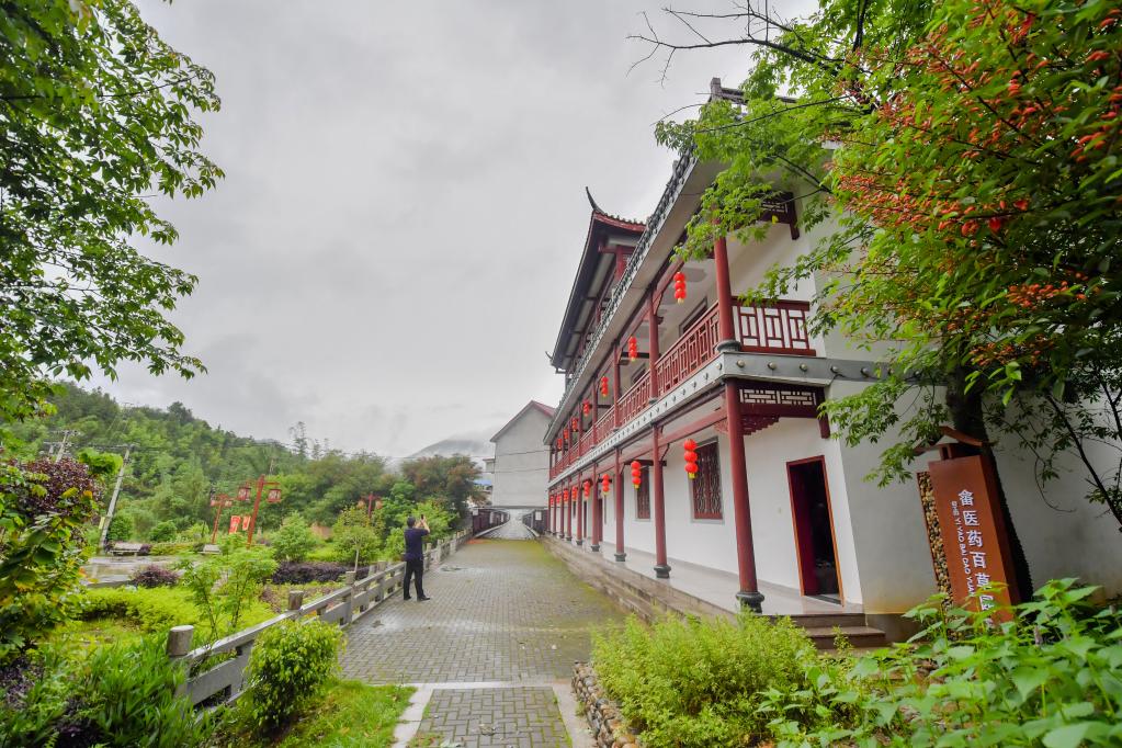 奮進新征程 建功新時代·老區(qū)新貌丨山水、產(chǎn)業(yè)、風情“扮靚”畬鄉(xiāng)