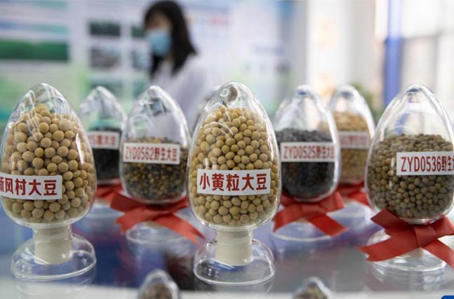 新華全媒+丨保障國家糧食安全 我國唯一寒地作物種質(zhì)資源庫完成改擴建