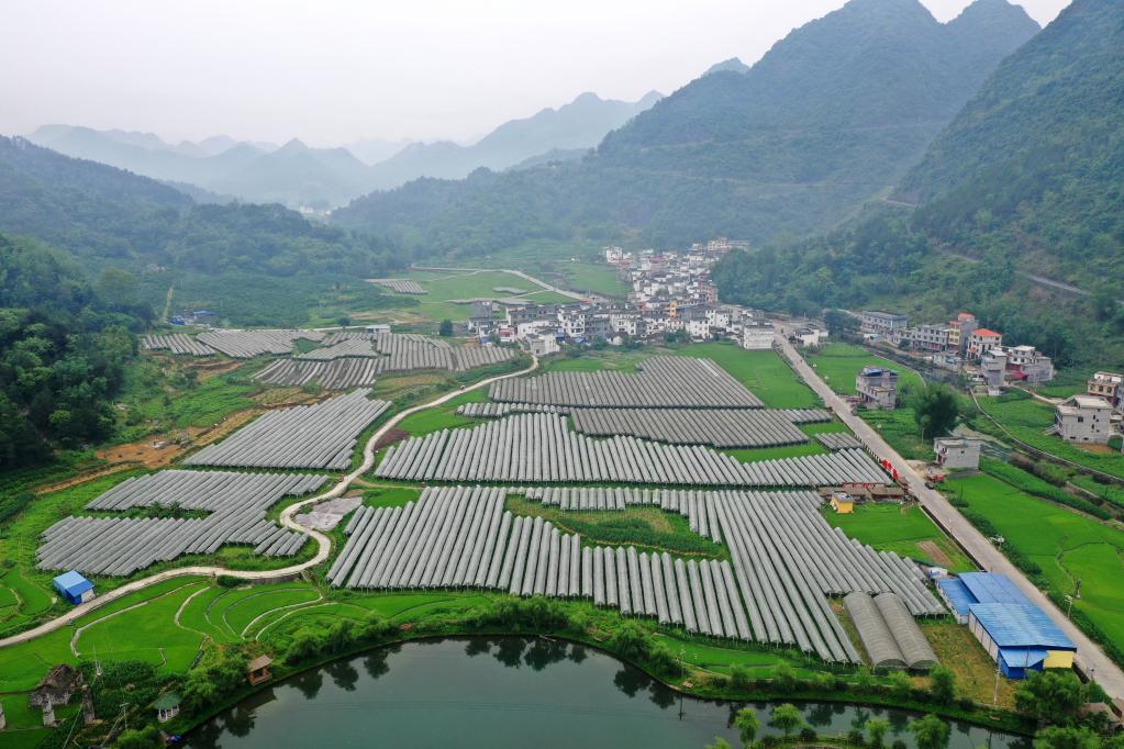 奮進(jìn)新征程 建功新時(shí)代·老區(qū)新貌丨左右江革命老區(qū)：邊陲老區(qū)譜寫開放發(fā)展新篇