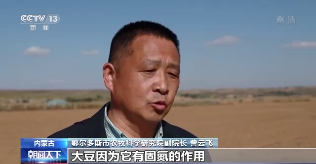 節(jié)成本提效率 各地多措并舉促糧食增產(chǎn)
