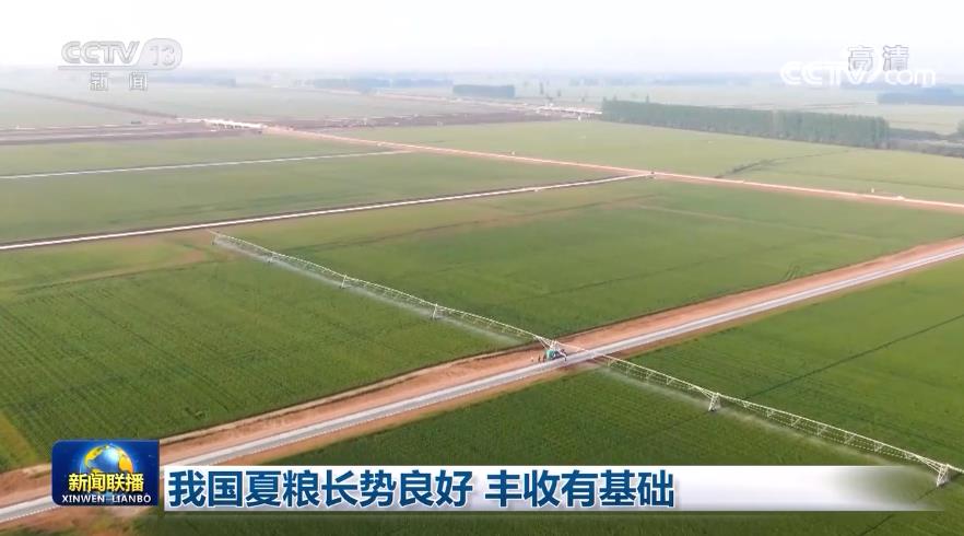 我國夏糧長勢良好 豐收有基礎(chǔ)