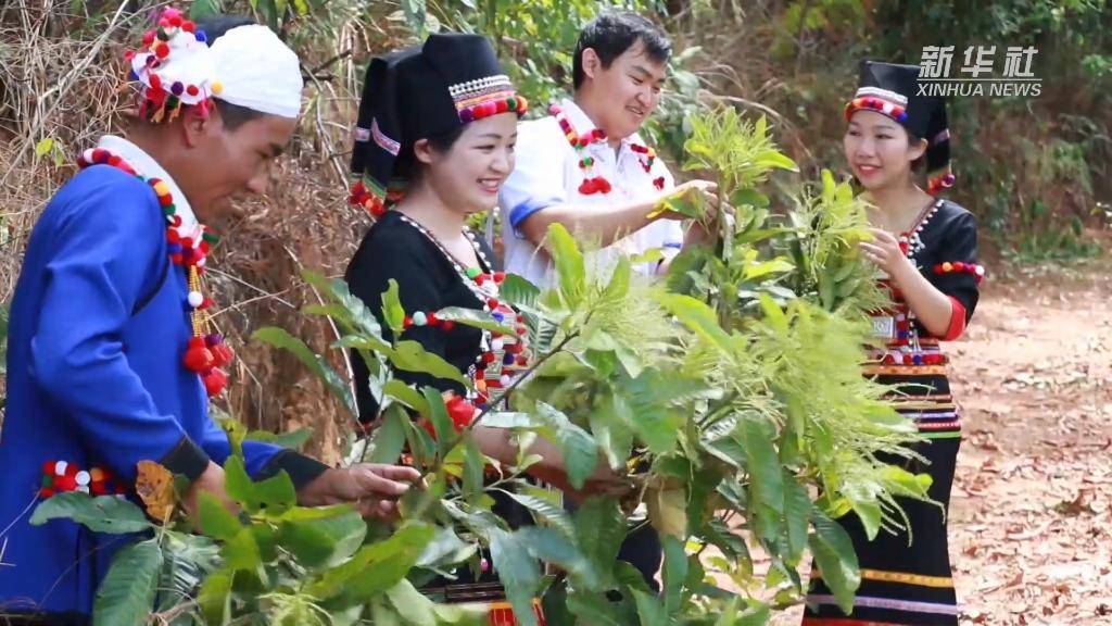 奮進(jìn)新征程 建功新時(shí)代·大美邊疆｜出冬瓜村：隱秘在邊疆大山里的美麗村落