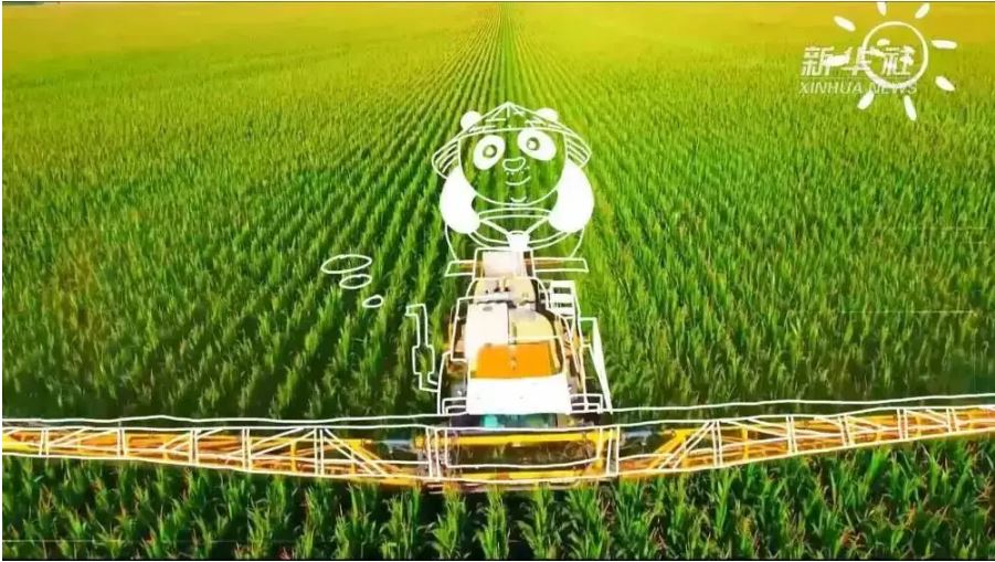 解讀黑土地保護(hù)法：保護(hù)“耕地中的大熊貓”就是保障國家糧食安全