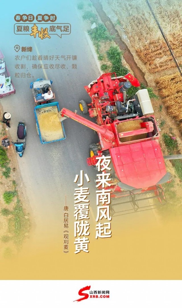 大國“糧”策｜夏糧迎豐收 麥香盈滿倉！