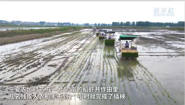新華全媒+｜“特殊”農機服務隊 三夏時節(jié)奔波忙