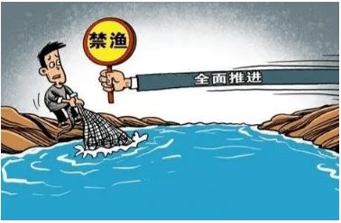 五部門印發(fā)通知切實鞏固退捕漁民安置保障成果
