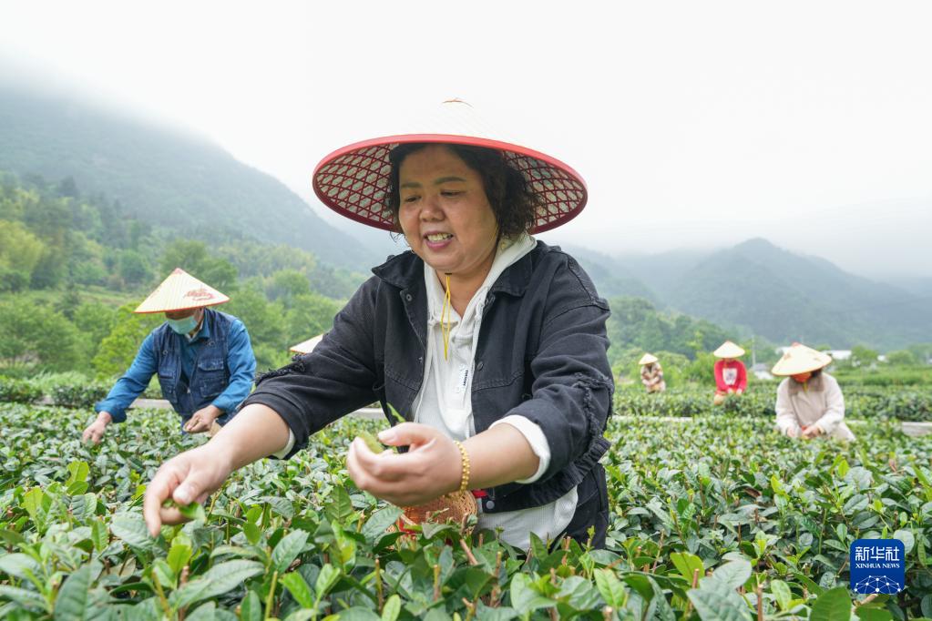 “綠起來”帶動(dòng)“富起來”——大別山區(qū)“兩山”實(shí)踐創(chuàng)新基地觀察