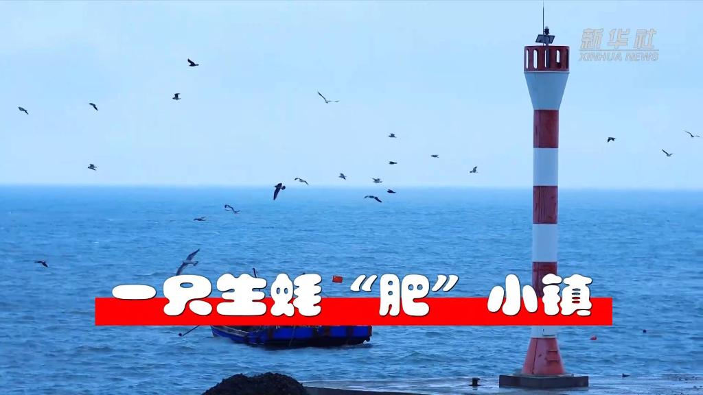 奮進新征程 建功新時代·大美邊疆｜一只生蠔“肥”小鎮(zhèn)