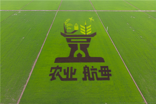 奮進(jìn)新征程 建功新時(shí)代·大美邊疆丨東北錨定高質(zhì)量發(fā)展加快振興
