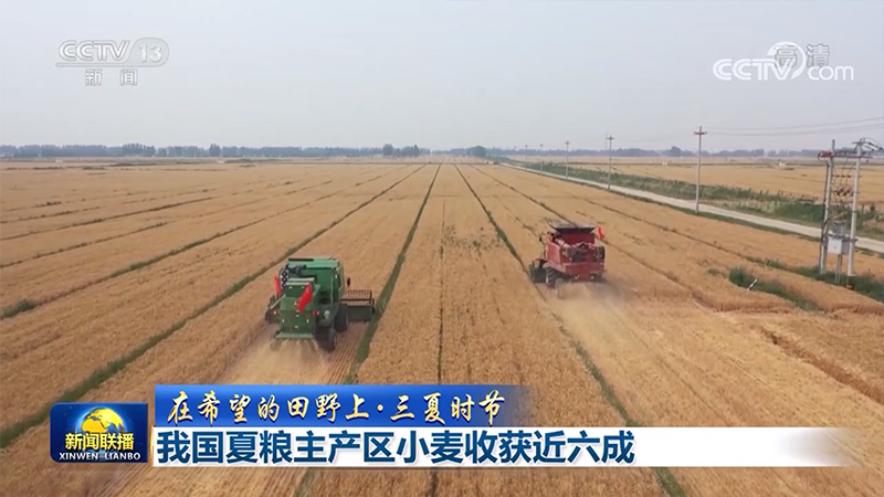 【在希望的田野上·三夏時節(jié)】我國夏糧主產(chǎn)區(qū)小麥收獲近六成