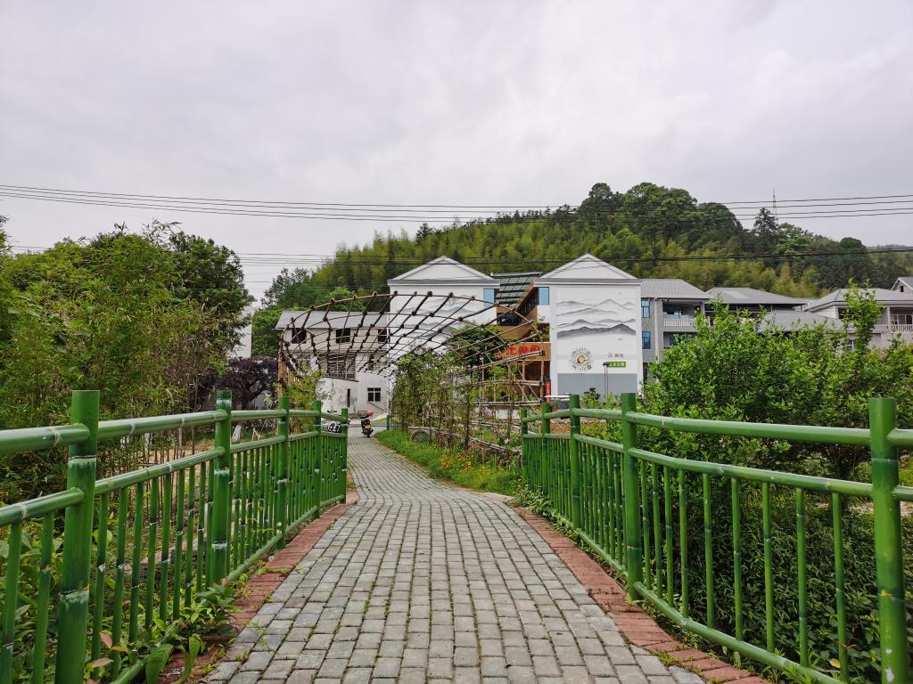奮進(jìn)新征程 建功新時(shí)代·老區(qū)新貌丨產(chǎn)業(yè)+電商——重慶秀山隘口鎮(zhèn)“出山”記
