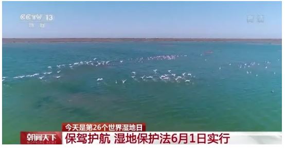 濕地保護法六月一日起正式實施 我國濕地保護全面進入法治化