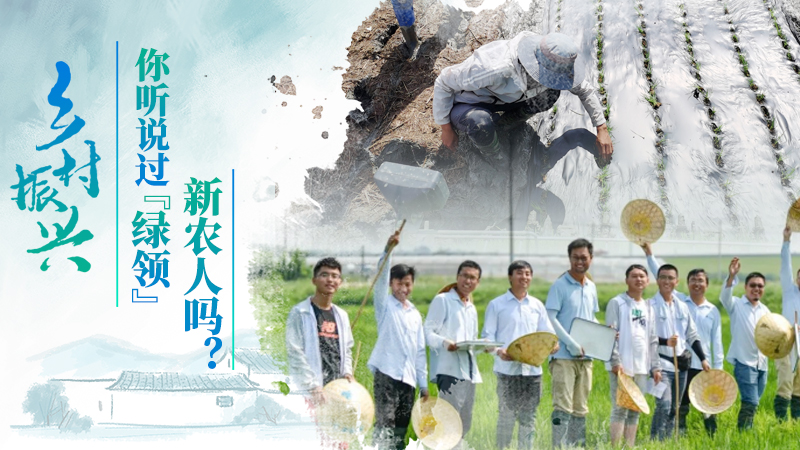 鄉(xiāng)村振興|你聽說過“綠領”新農人嗎？