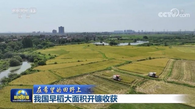 【在希望的田野上】我國早稻大面積開鐮收獲