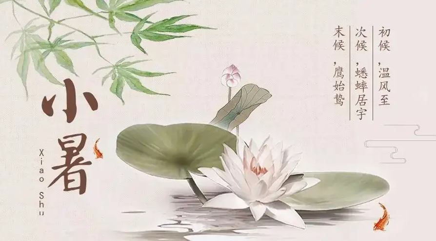 一年中雨最多的時候來了 大數(shù)據(jù)揭秘小暑“高溫王”“暴雨王”
