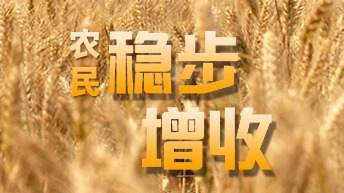 夏糧實現(xiàn)高位增產(chǎn) 各地全力奪取秋糧豐收