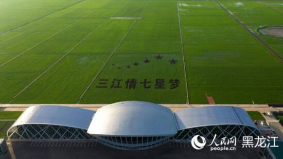 黑龍江：“中國(guó)飯碗”插上現(xiàn)代科技翅膀 裝備制造增添自主創(chuàng)新動(dòng)力