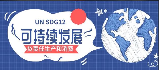 推進可持續(xù)發(fā)展目標(biāo) 數(shù)字一代重任在肩