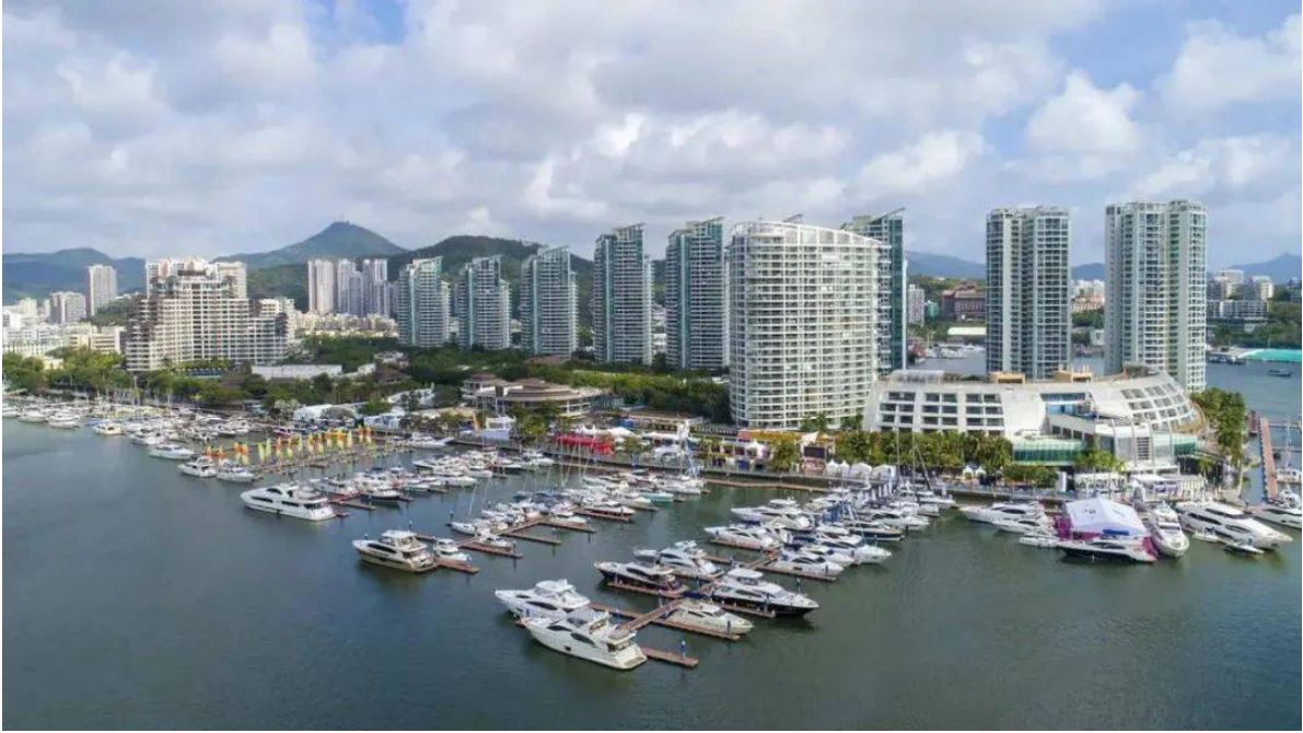 自貿(mào)港的藍(lán)圖里有年輕人的未來