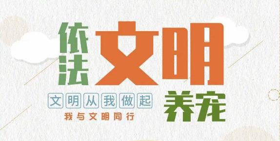 寵物被遺棄現(xiàn)象頻發(fā) 專家：棄養(yǎng)寵物 無視法律丟了文明