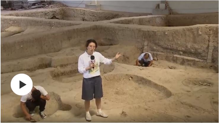 文明之美看東方丨橋頭遺址：一萬(wàn)年前的稻殼