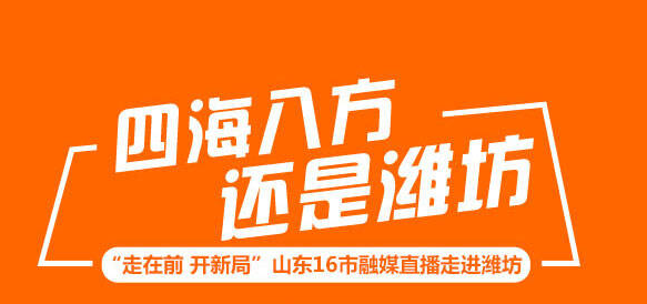 四海八方，還是濰坊！九張海報帶你感受濰坊迸發(fā)的磅礴力量