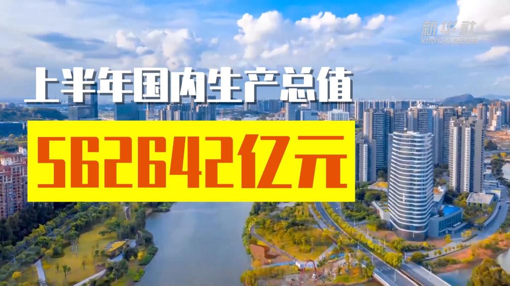 新華全媒+｜從2022年上半年經(jīng)濟數(shù)據(jù)看中國經(jīng)濟韌性