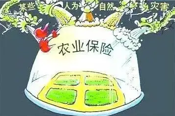 農(nóng)業(yè)保險發(fā)展?jié)摿Υ?險企積極創(chuàng)新產(chǎn)品服務(wù)