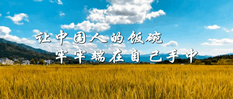 讓中國(guó)人的飯碗牢牢端在自己手中