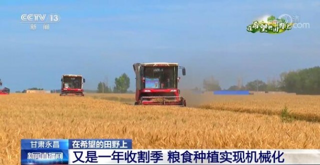 在希望的田野上 | 又是一年收割季 甘肅永昌糧食種植實現機械化