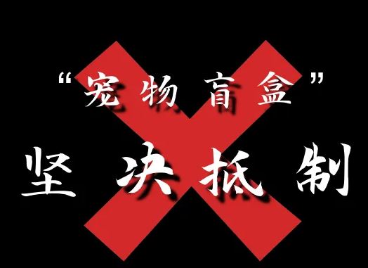 盲盒國家監(jiān)管要來了！寵物盲盒、食品盲盒……擬禁止！