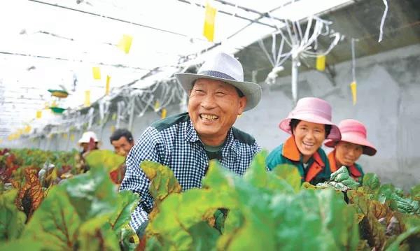 “組團(tuán)式”援藏深入推進(jìn) 產(chǎn)業(yè)援藏碩果累累 近7000名援藏干部人才助力西藏發(fā)展