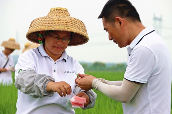 “小眾”的種子專業(yè)為何熱起來(lái)了