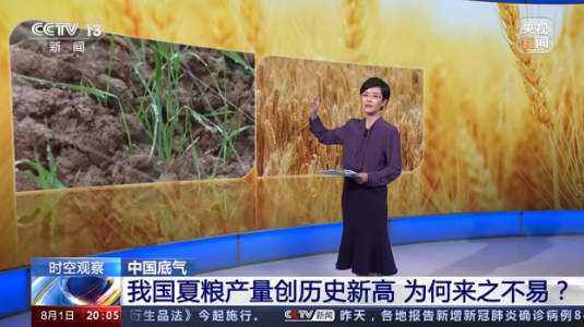 一張地圖背后的糧食“中國碗”