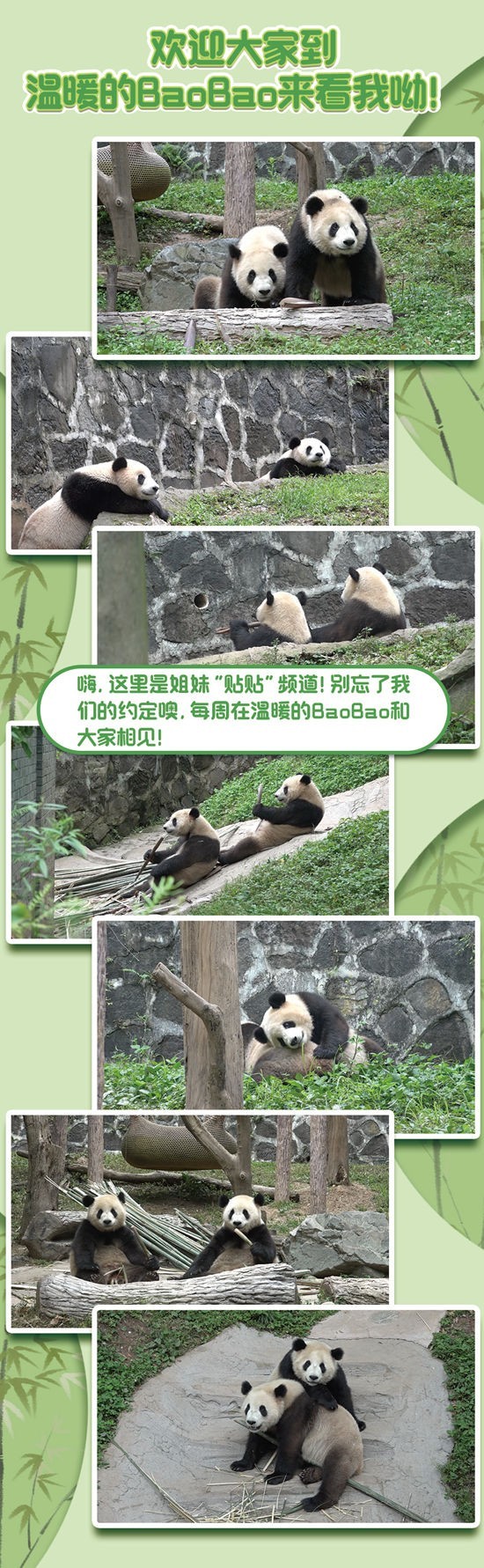 歡迎大家到溫暖的BaoBao來看我喲！