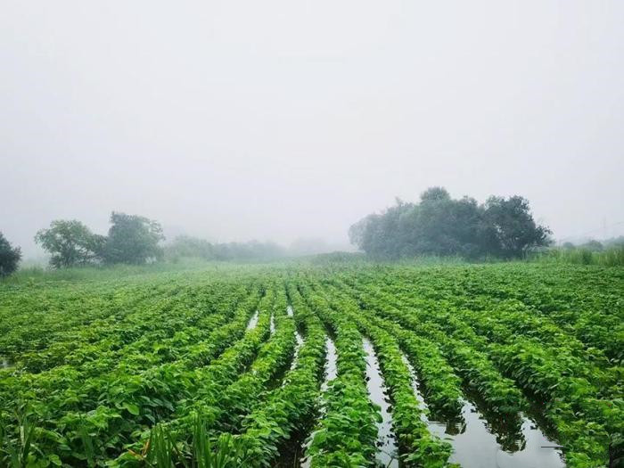 吉林入汛降水量不斷沖擊歷史高位 最新強(qiáng)降雨將至