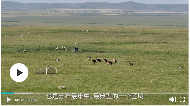 草原更豐美 牧民更富?！獌?nèi)蒙古呼倫貝爾市草原生態(tài)補(bǔ)獎(jiǎng)采訪實(shí)錄