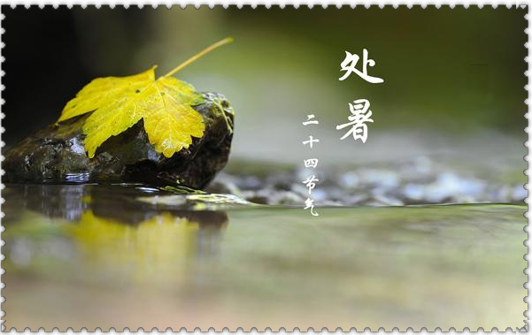 二十四節(jié)氣藥膳養(yǎng)生記丨處暑涼蛩鳴砌下，炊香撩動(dòng)口腹美