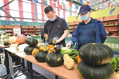 國家種業(yè)陣型企業(yè)名單公布——加快打造種業(yè)振興骨干力量