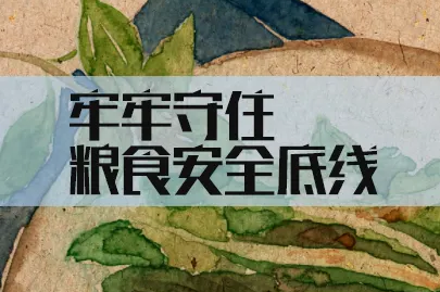 守住糧食安全這條底線（有的放矢）