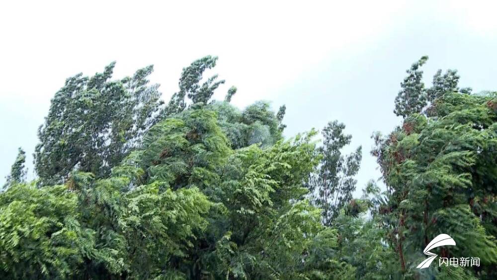 山東繼續(xù)發(fā)布內(nèi)陸大風(fēng)藍(lán)色預(yù)警 全省最高氣溫已降至30℃以下