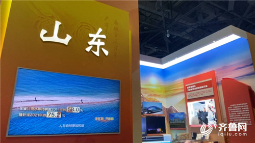 這場萬眾矚目的展覽 講述了怎樣的山東？
