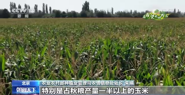 農業(yè)農村部：全國大部地區(qū)秋糧長勢較好