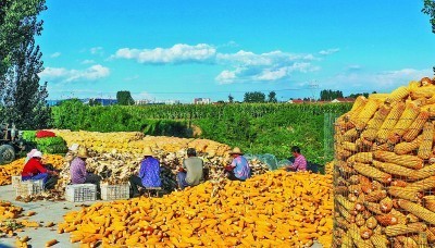 看，田疇沃野盡豐景